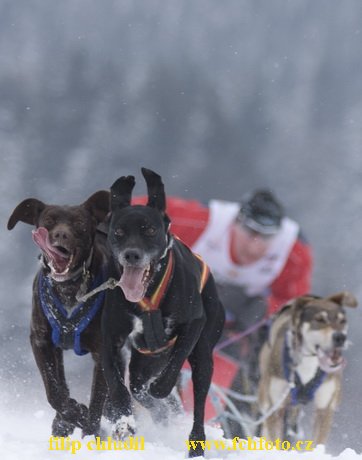 Tri studne zima 2009 - 0336.jpg